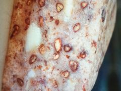 -杨招娣糕点(装驾桥巷店)