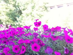 -北平国际青年旅舍(南锣鼓巷店)