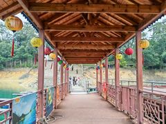 -广州市流溪河国家森林公园