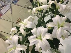 -白鹭湾湿地公园