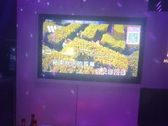-海乐星KTV(航空路店)
