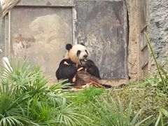 -石排湾郊野公园