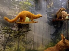 -下渚湖国家湿地公园科普馆