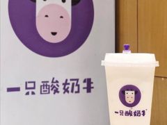 -一只酸奶牛(八一路店)