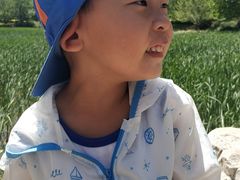 -云岗森林公园