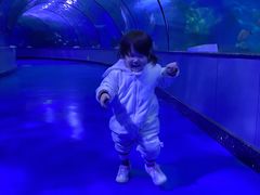 -泉城欧乐堡海洋极地世界