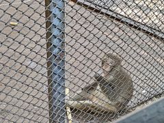 -长白岛森林公园