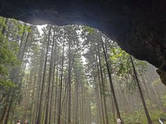 -上色见熊野座神社
