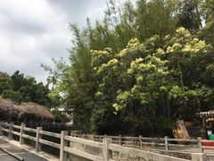 -广东温泉宾馆