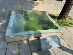 -青龙山生态文化旅游区(慈云寺)
