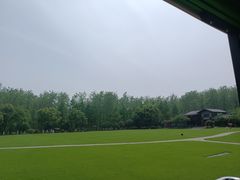 -合肥滨湖国家森林公园