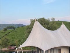 -帐篷客·溪龙茶谷度假酒店