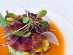 蓝鳍金枪鱼塔塔-蝶舍·MAISON PAPILLON