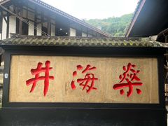 -燊海井