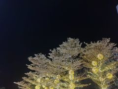 -银泰百货(厦门国贸中心店)