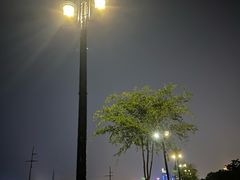 -哈尔滨音乐公园