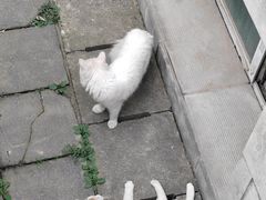 -万寿八仙宫