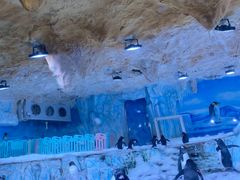 -海合安青岛极地海洋公园