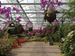 -南通洲际绿博园