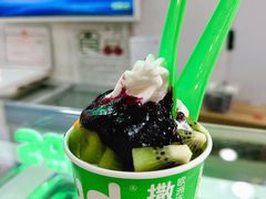 -Salud撒露欧洲冻酸奶(五道口购物中心店)