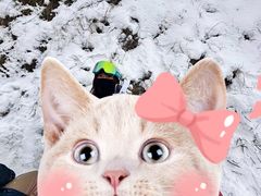 -富龙滑雪场
