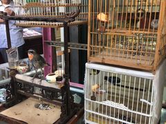 -万商花鸟市场