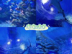 -海合安武汉极地海洋公园