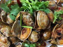 -东戴河风景区-止锚湾