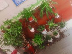 -小六汤包砂煲菜(文景路店)