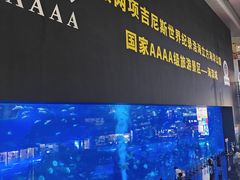 -成都浩海立方海洋公园