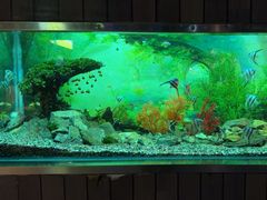 -秦皇岛新澳海底世界