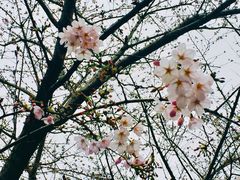 -莹珠阁·私房菜