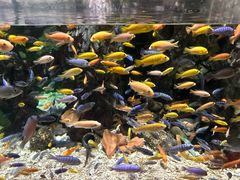 -太平洋海底世界