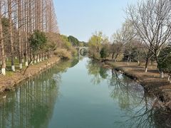 -南湖湿地公园