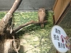 -上海大自然野生昆虫馆(东方明珠·爬宠昆虫探索中心)