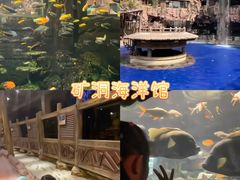 -长鹿旅游休博园
