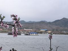 -河口景区