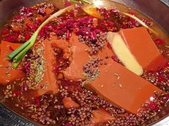 -清真·天府皇城坝百年牛肉火锅(皇城清真寺店)
