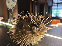 -肆月河豚·淮扬菜·湘菜(华天店)
