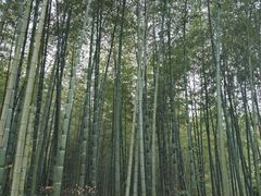 -石塘人家