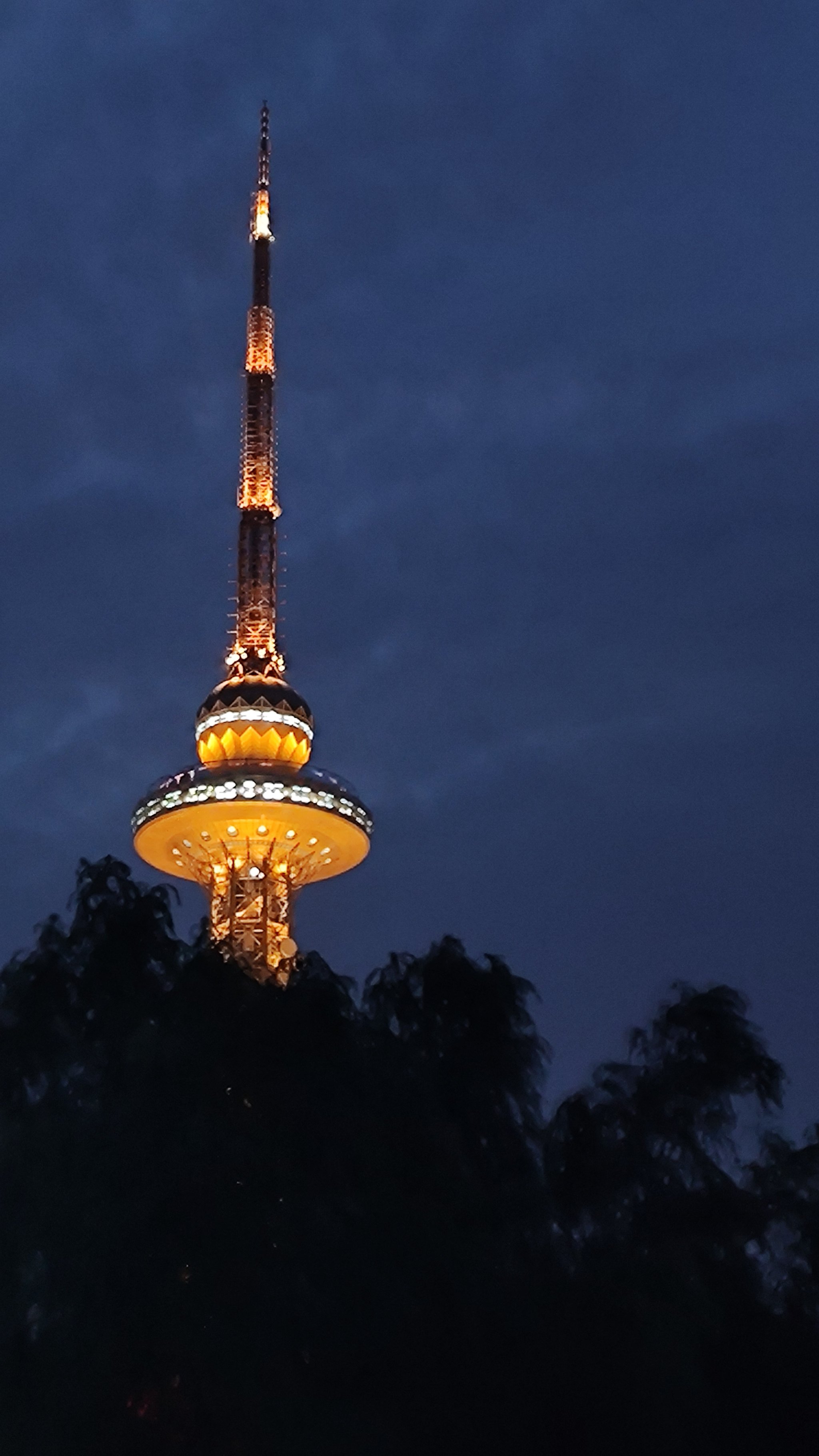 龙塔夜景图片图片