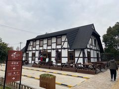 -金山农民画村-枫泾波兰倒置屋