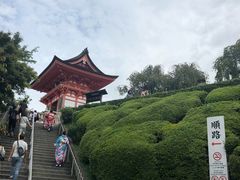 -有栖山 清光院 清水寺