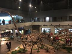 -自贡恐龙博物馆