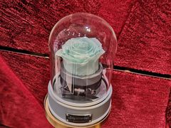 -ROSEONLY诺誓(沈阳万象城店)