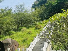 -水濂山森林公园