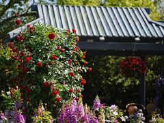 -苏州上方山国家森林公园
