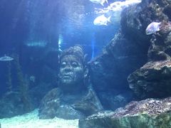 -暹罗海洋世界