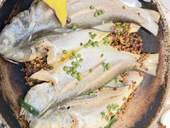 花椒呛伍鱼-阿忠食坊大排档·20年老店(万象城店)