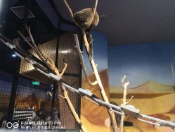 -未来动物城动物主题公园(大悦城店)